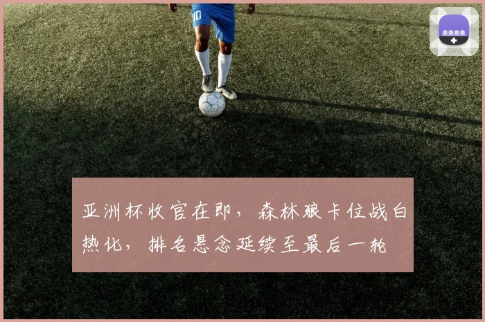 亚洲杯收官在即，森林狼卡位战白热化，排名悬念延续至最后一轮