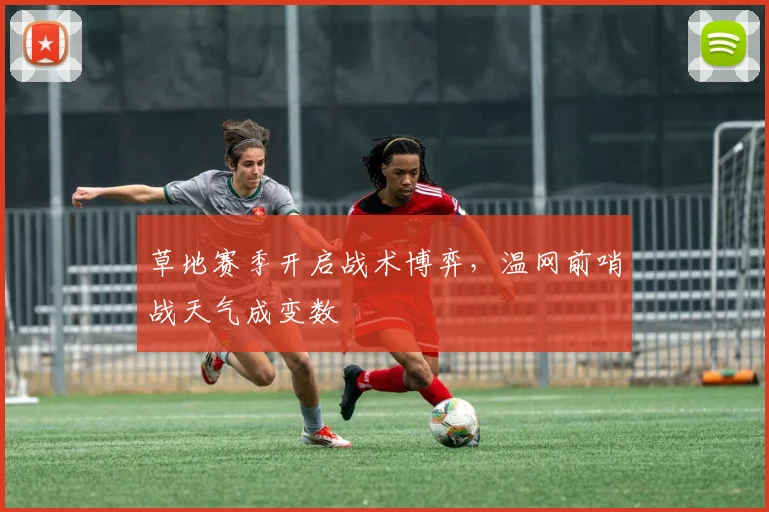 草地赛季开启战术博弈，温网前哨战天气成变数