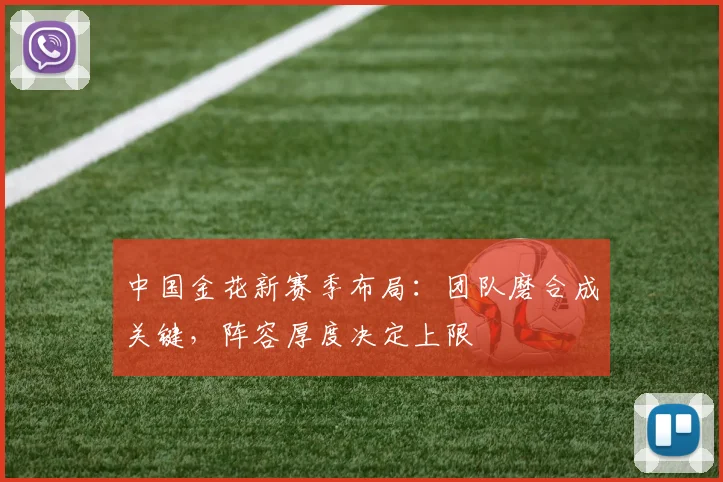 中国金花新赛季布局：团队磨合成关键，阵容厚度决定上限