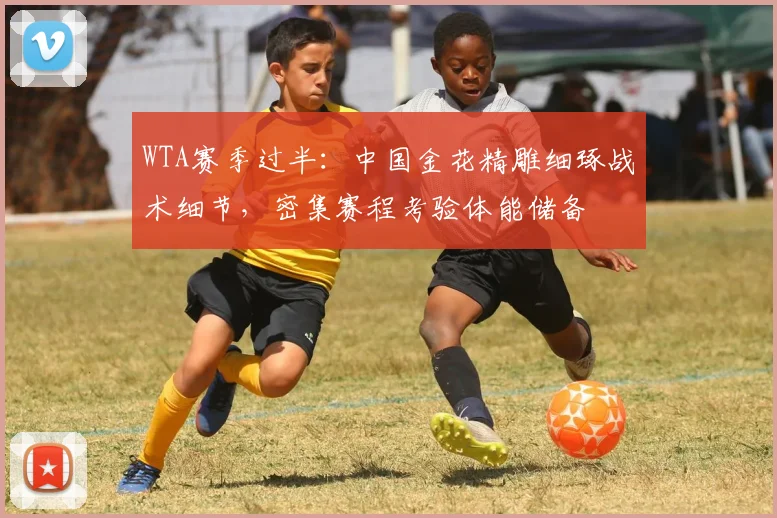 WTA赛季过半：中国金花精雕细琢战术细节，密集赛程考验体能储备