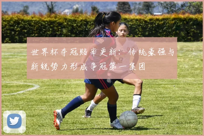 世界杯夺冠赔率更新：传统豪强与新锐势力形成争冠第一集团