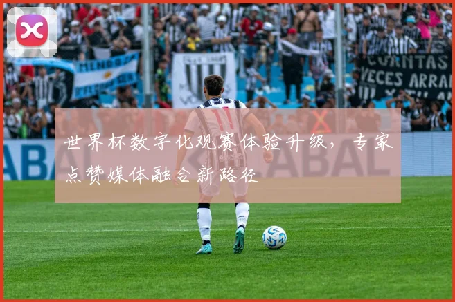 世界杯数字化观赛体验升级，专家点赞媒体融合新路径