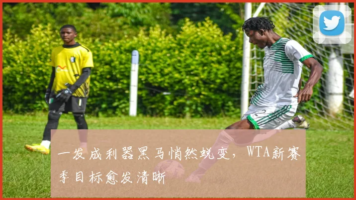 一发成利器黑马悄然蜕变，WTA新赛季目标愈发清晰